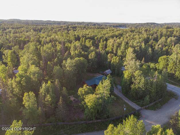 Nikiski/north Kenai, AK 99611,49066 Heights LN