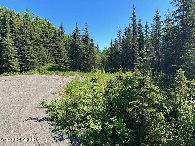 Nikiski/north Kenai, AK 99611,52302 Treasure Chest AVE