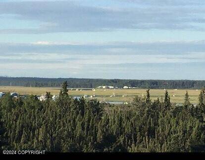 Kasilof, AK 99610,28445 Old SetNetters DR