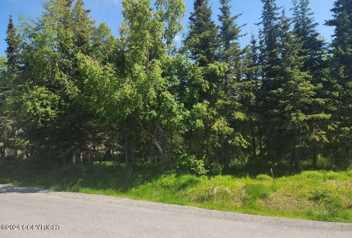 Anchorage, AK 99516,Lot 6 DePalatis CIR