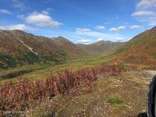 Trapper Creek, AK 99683,L117 S Cache Creek DR