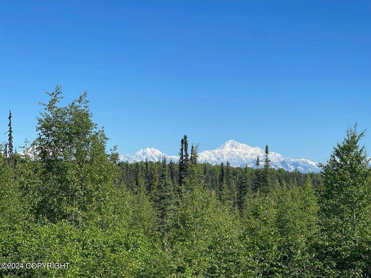 Trapper Creek, AK 99683,7535 E Petersville RD