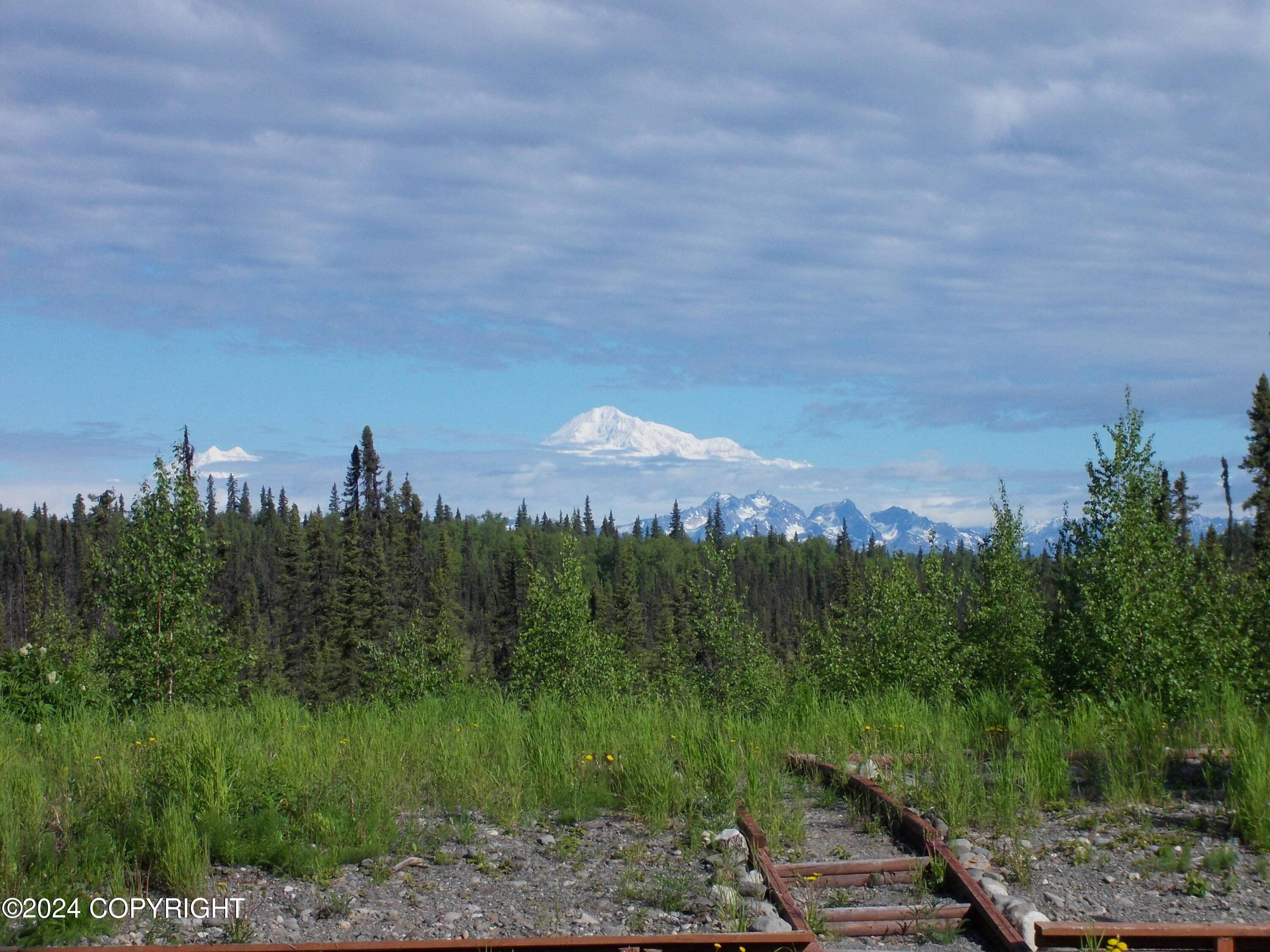 Trapper Creek, AK 99683,7535 E Petersville RD