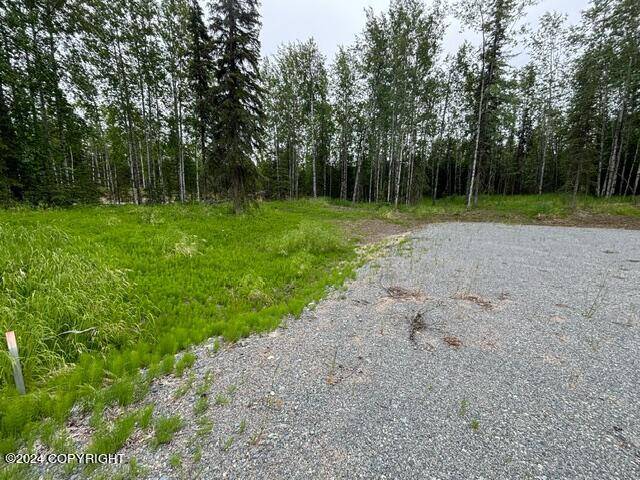 Kenai, AK 99611,TBD KEE's Tern WAY