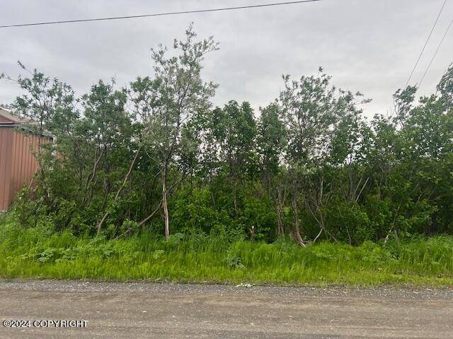 Dillingham, AK 99576,NHN C ST