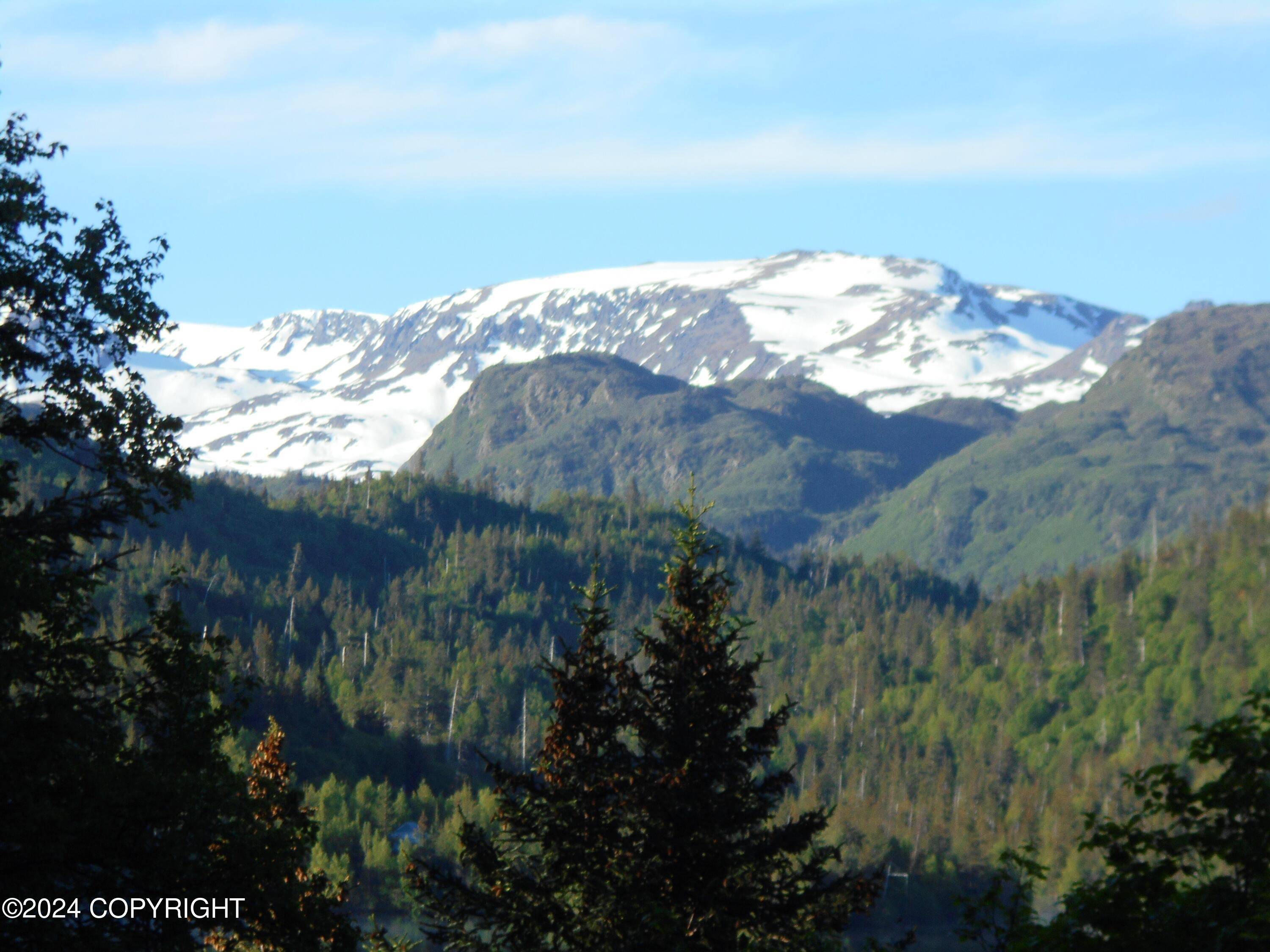 Remote, AK 99603,0 Loon Lake