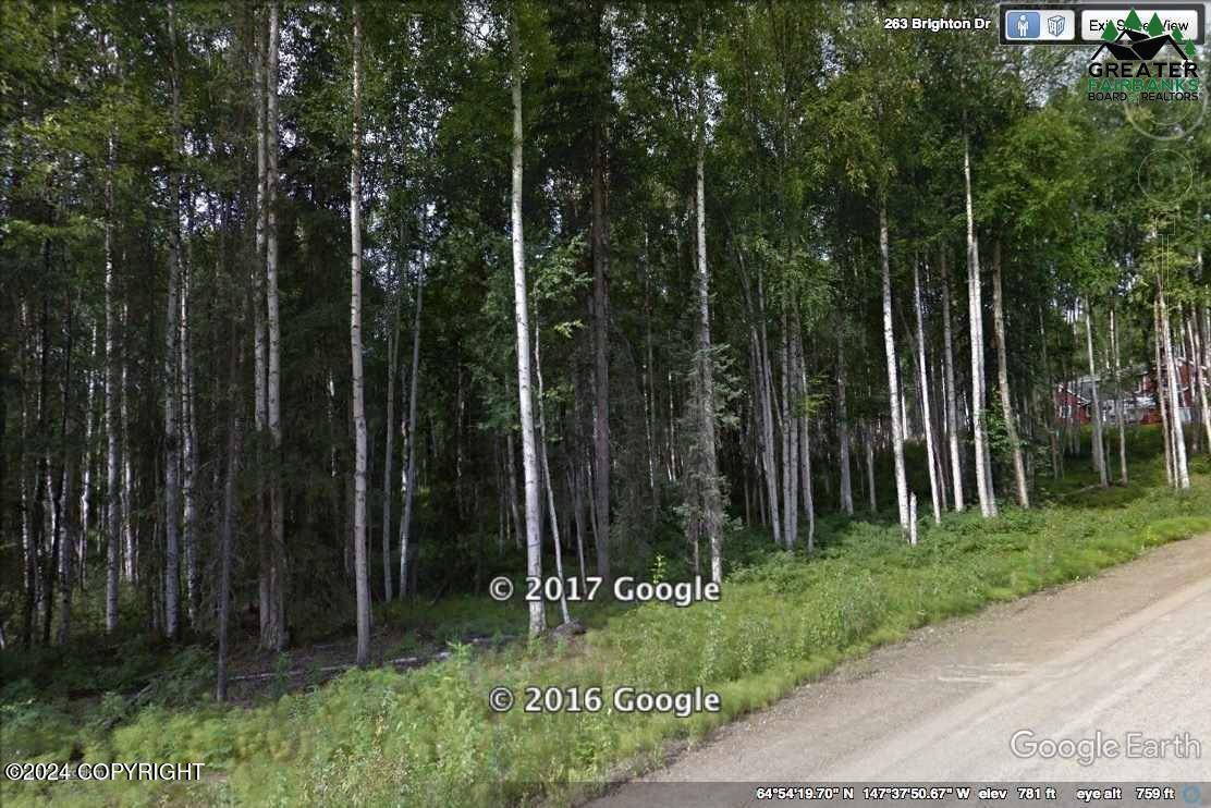 Fairbanks, AK 99712,L1 B2 Brighton DR