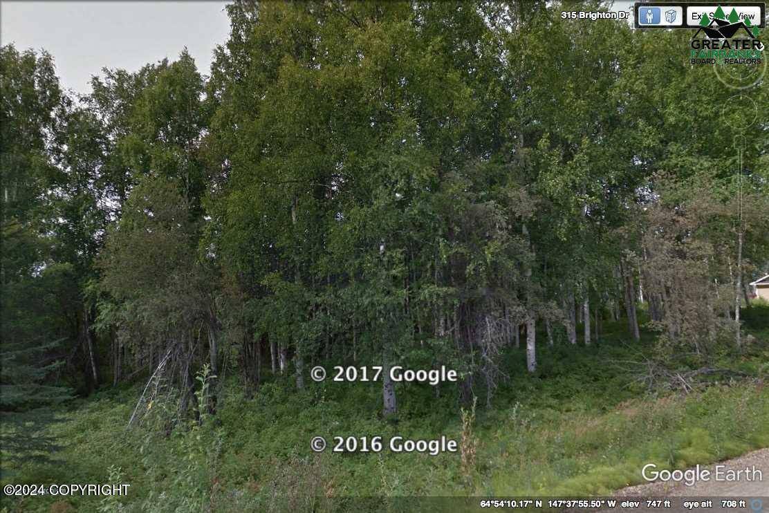 Fairbanks, AK 99712,L13 B2 Brighton DR