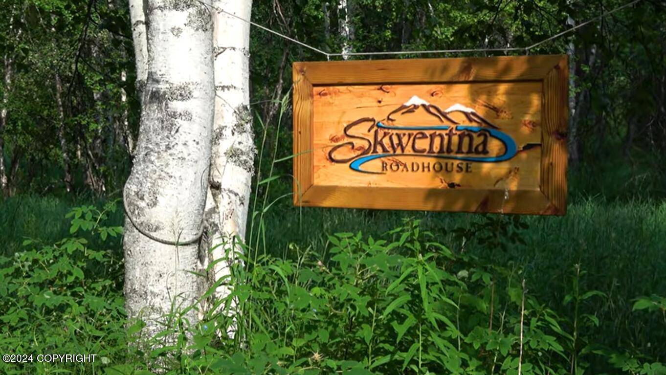 Skwentna, AK 99667,100 N Skwentna Road House RD