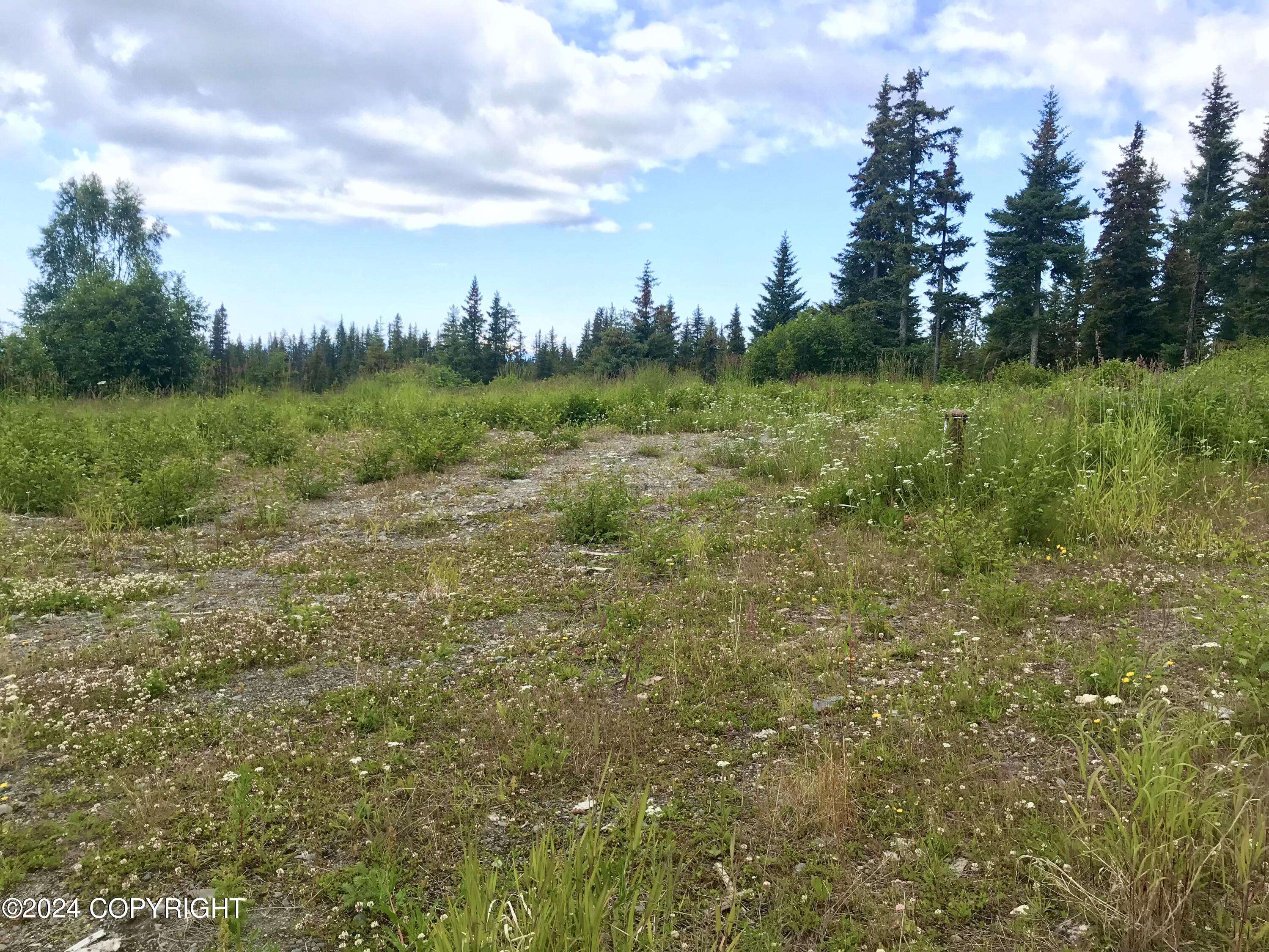 Homer, AK 99603,40285 Sterling HWY