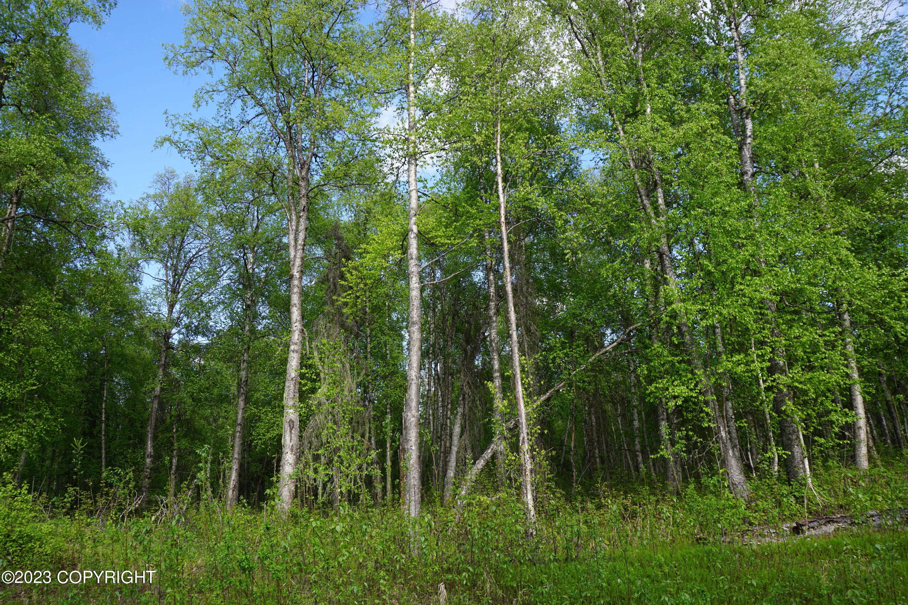 Talkeetna, AK 99676,L1 S Clara CIR