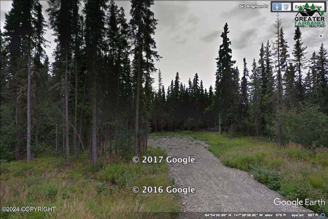 Fairbanks, AK 99712,L21 B3 Brighton DR