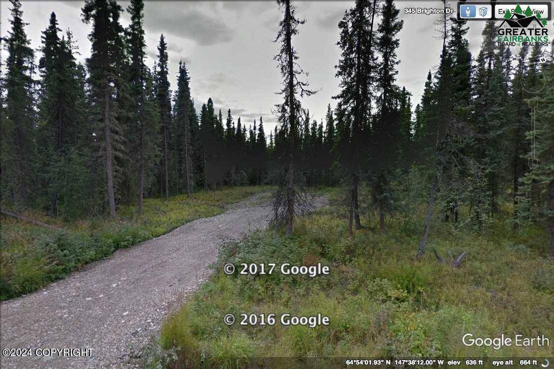 Fairbanks, AK 99712,L22 B3 Brighton DR