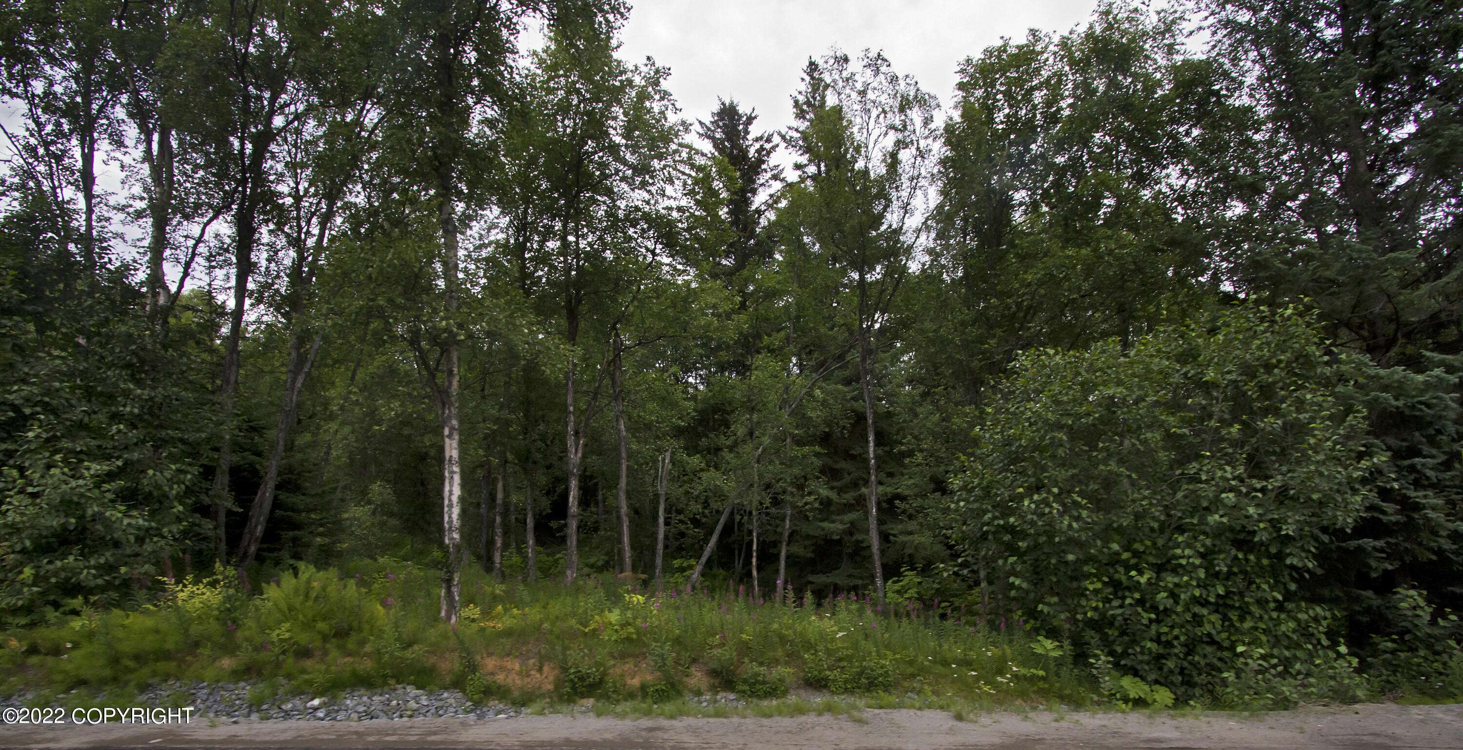 Homer, AK 99603,000 E Hill RD