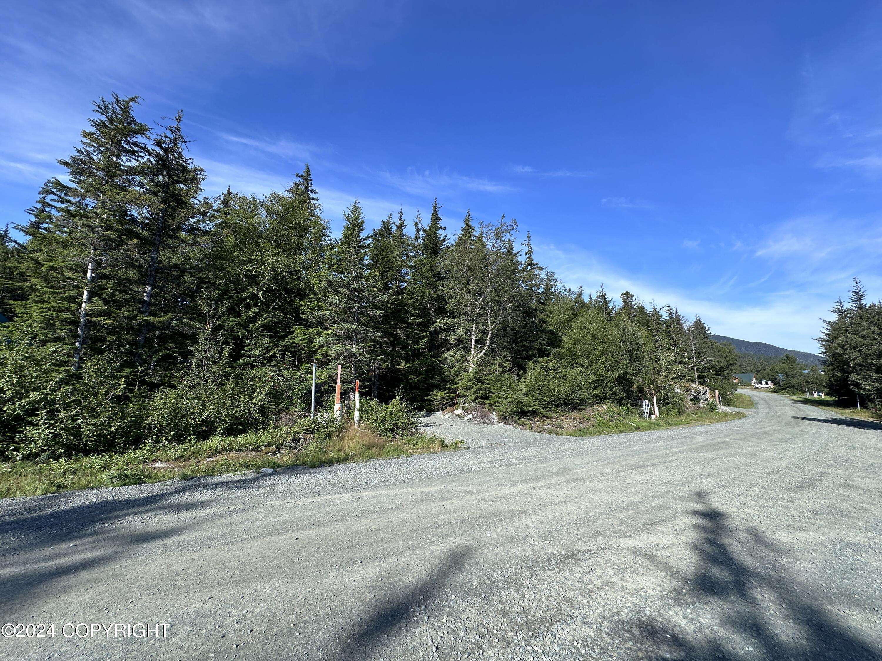 Haines, AK 99827,L6 BC Skyline DR