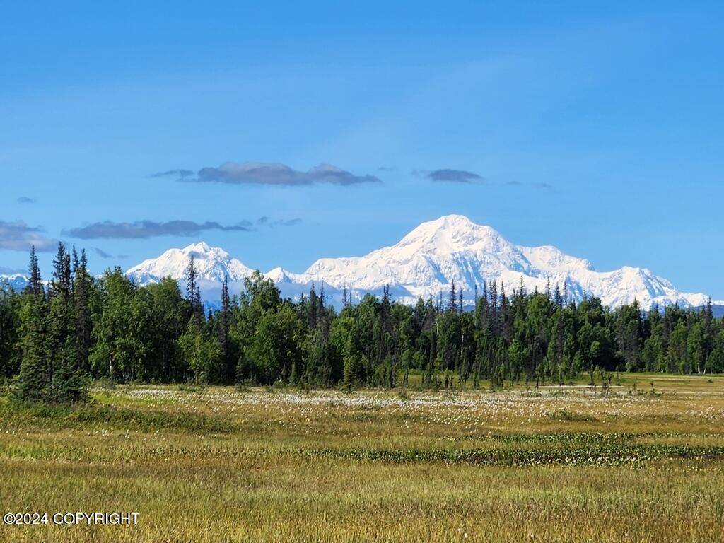 Trapper Creek, AK 99683,Tr B No Road TRL