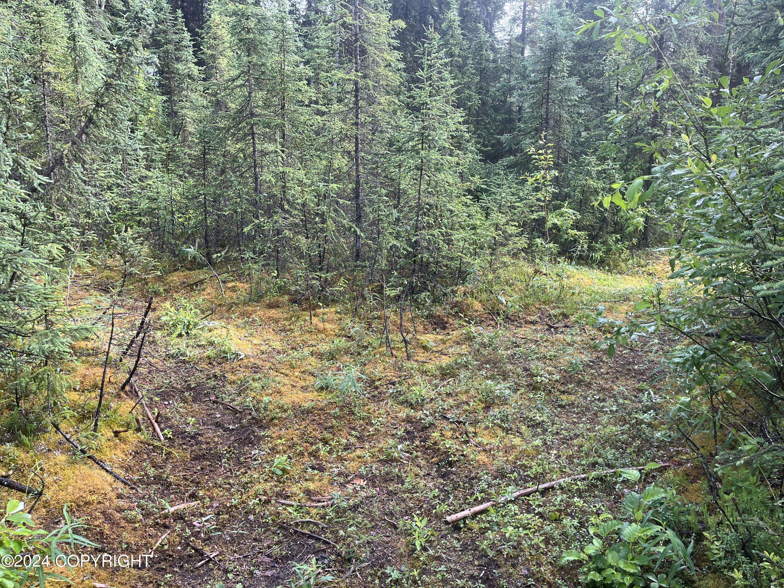 Soldotna, AK 99669,36275 Ansel ST