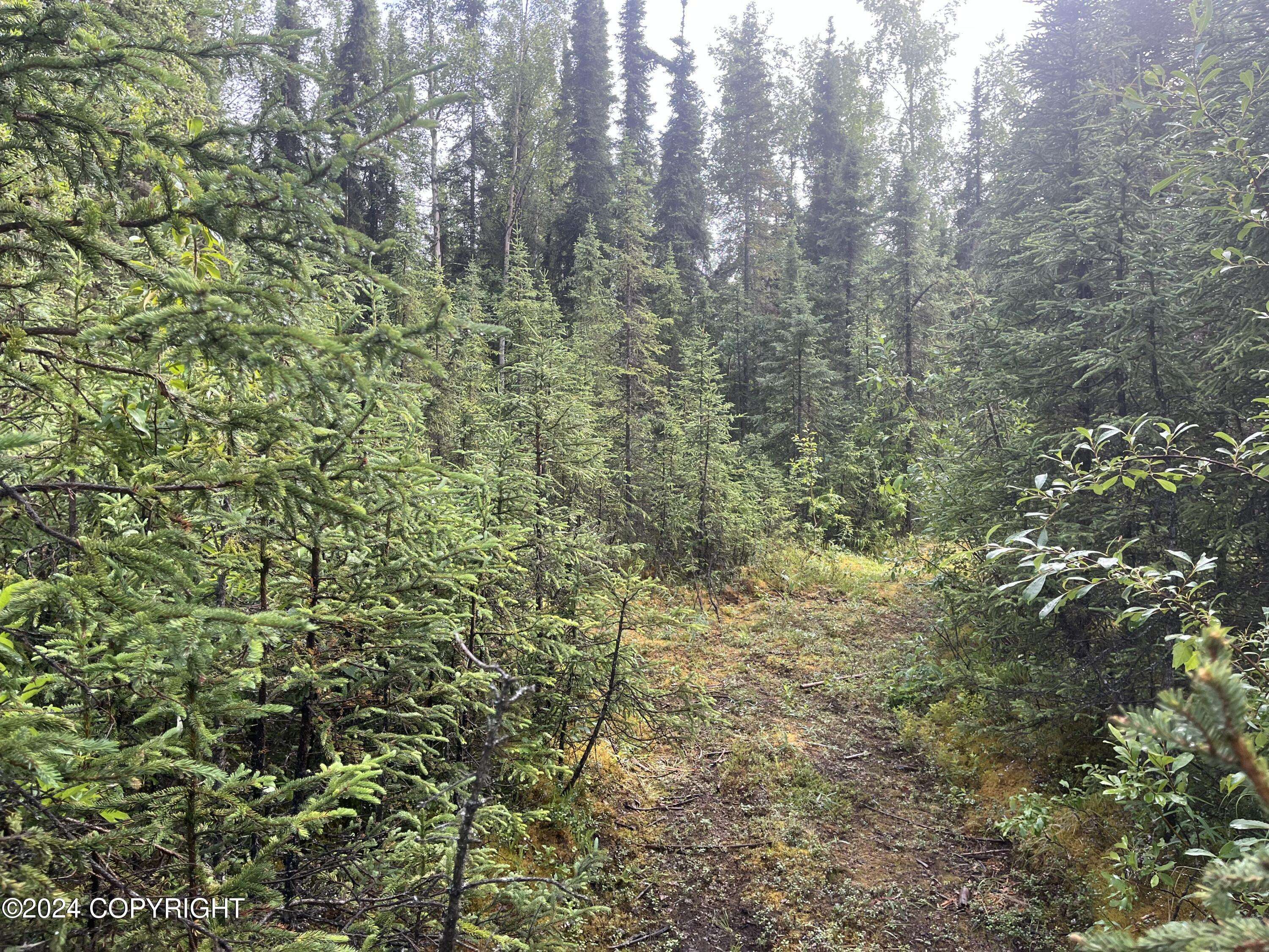 Soldotna, AK 99669,36275 Ansel ST