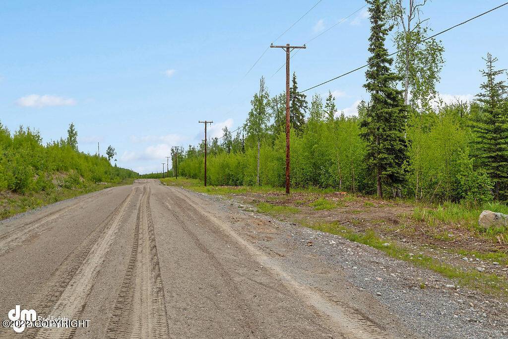 Wasilla, AK 99623,L1 B2 S Preston Hills DR