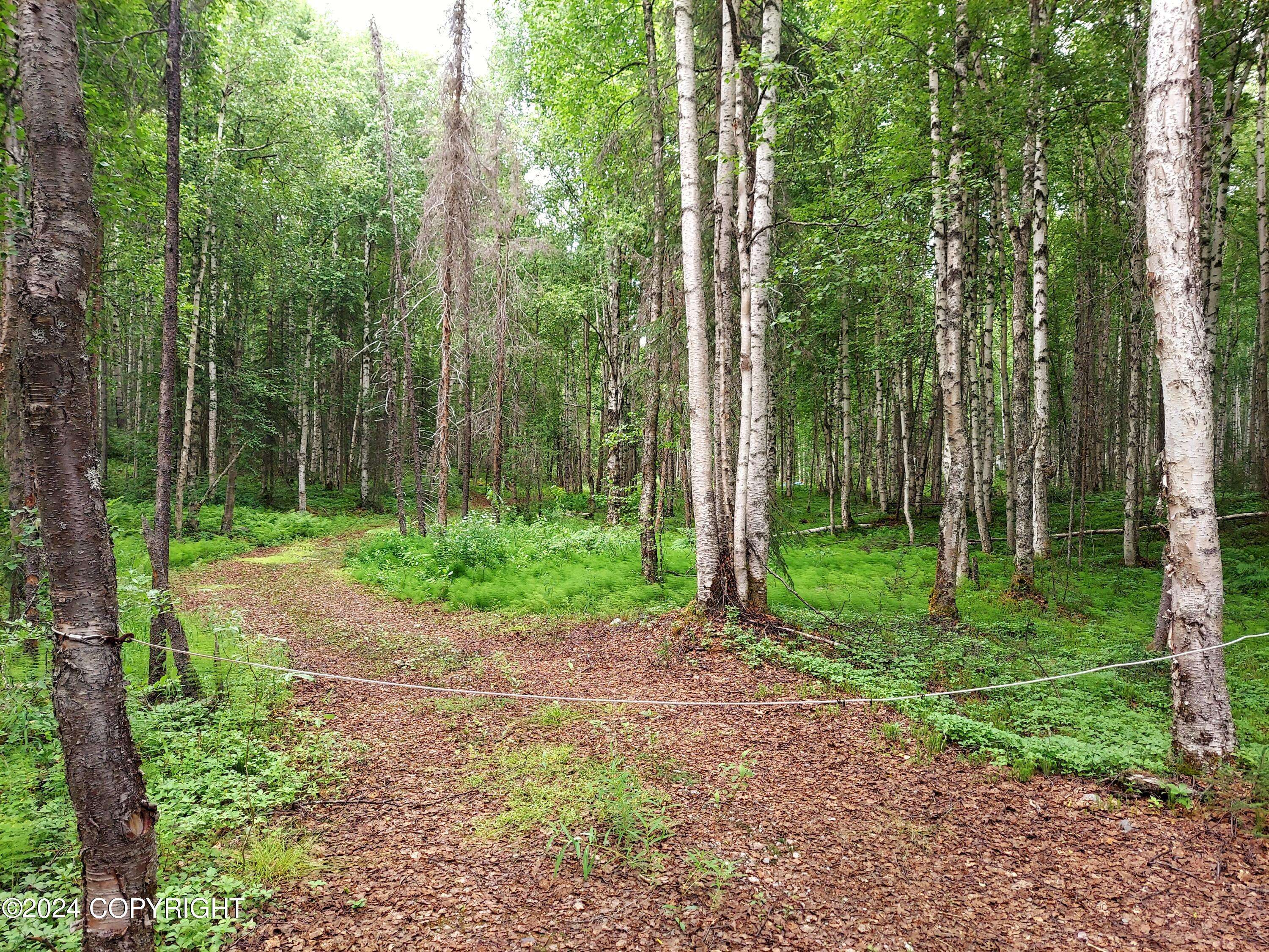 Talkeetna, AK 99676,17251 E Barge DR