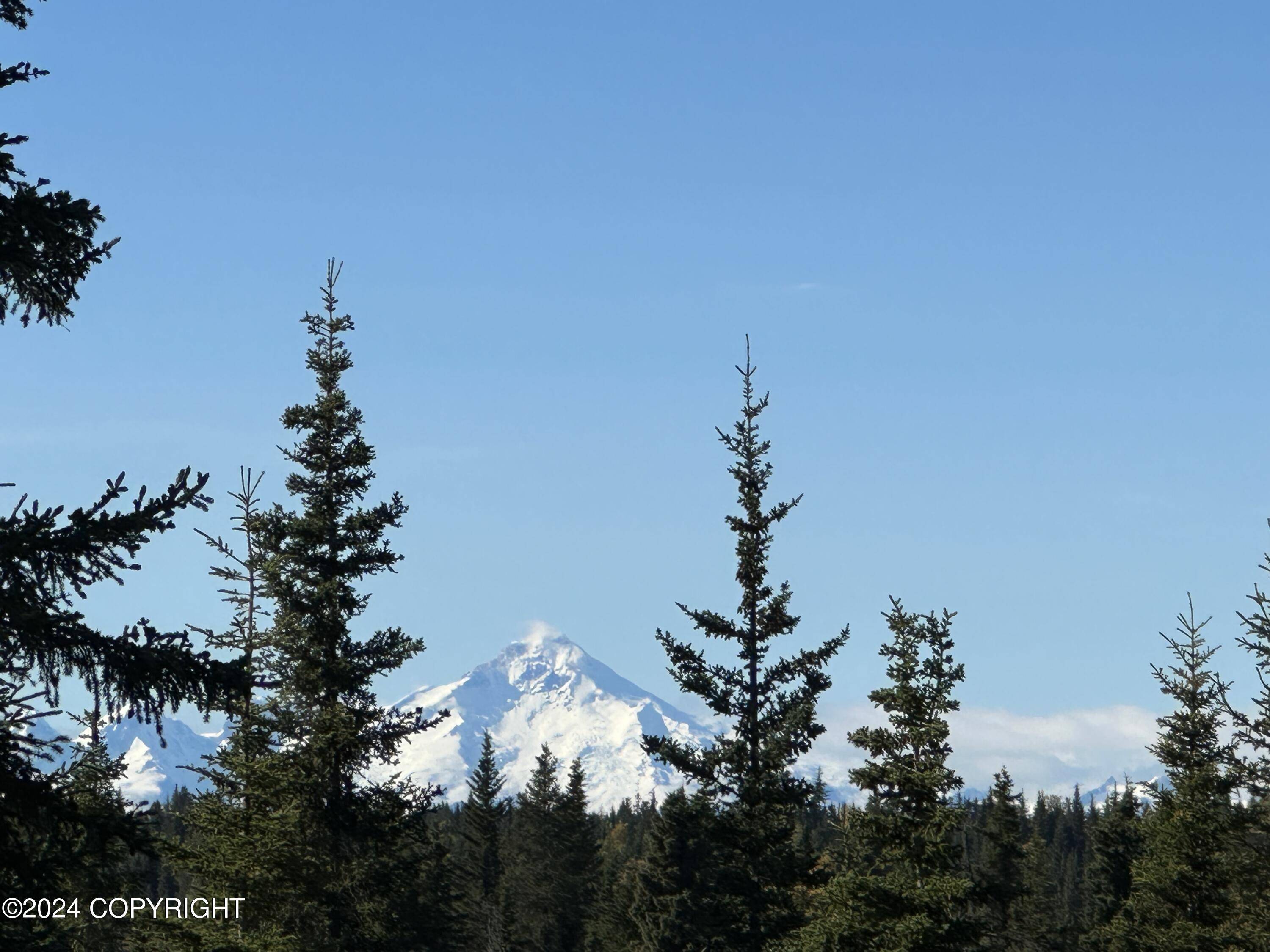 Anchor Point, AK 99556,25904 Pepper RD