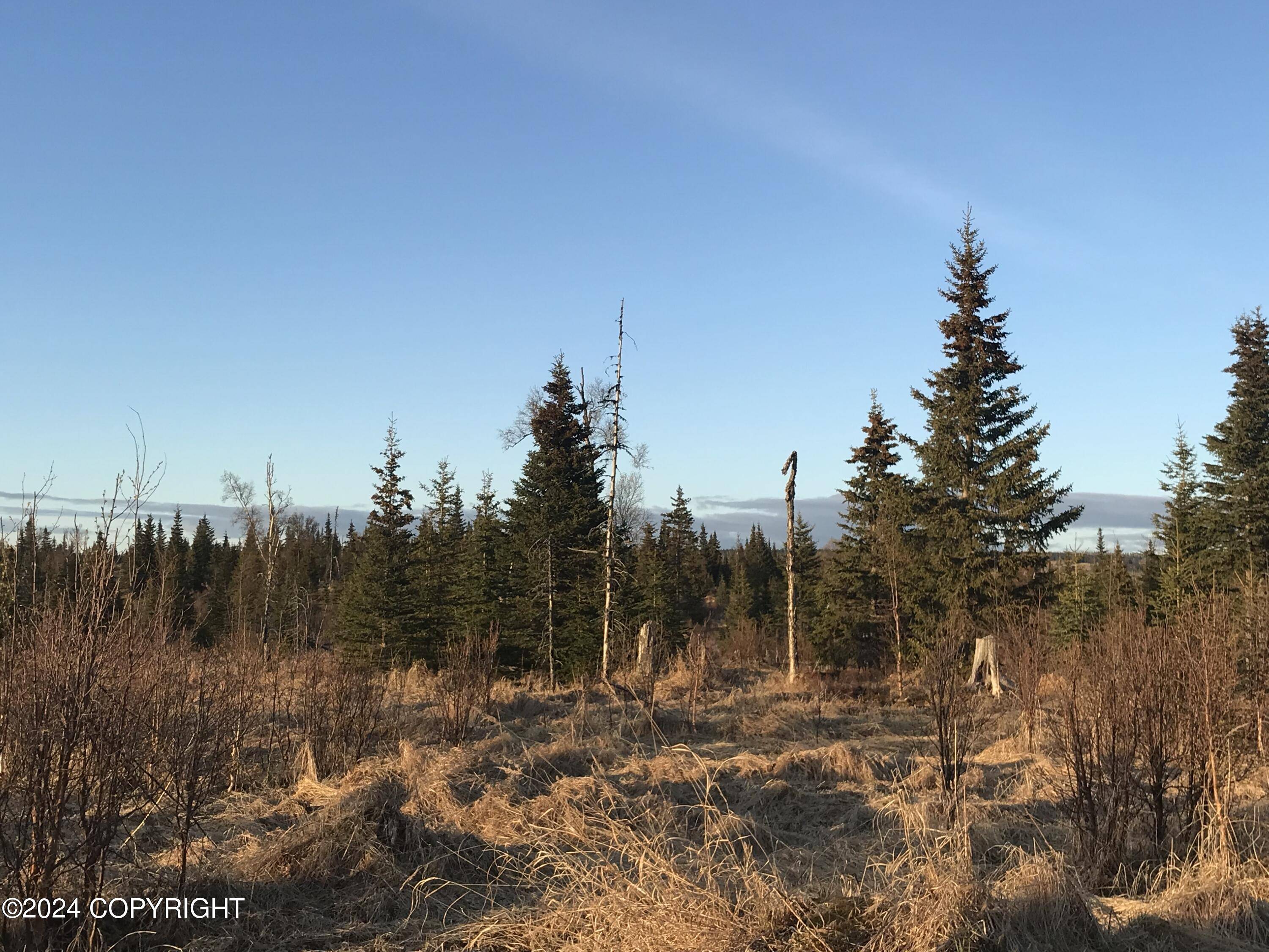 Ninilchik, AK 99639,0 Beatty AVE