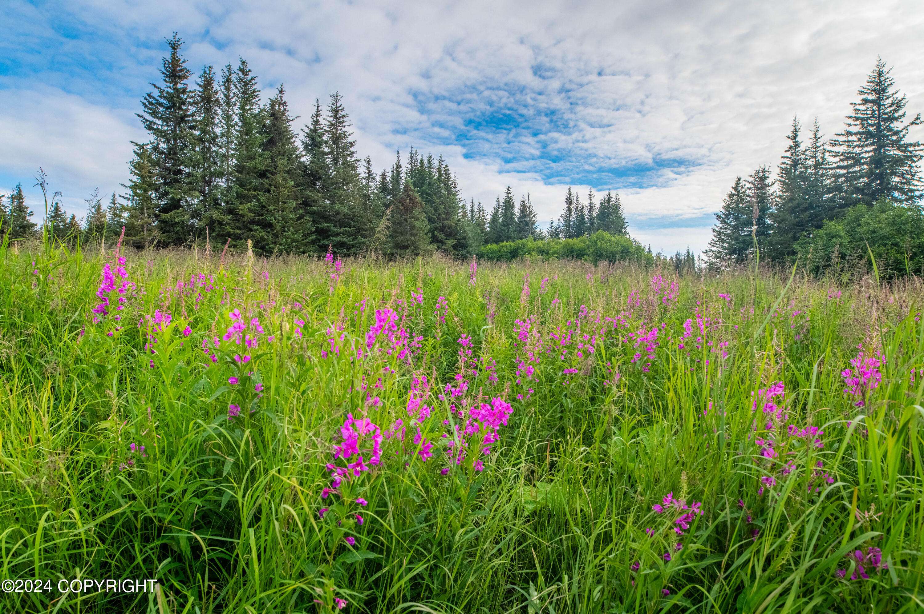 Homer, AK 99603,NKA Skyline DR