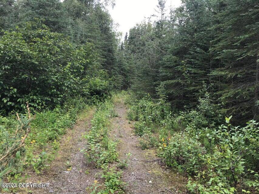 Nikiski/north Kenai, AK 99635,L6 B2 Agate ST