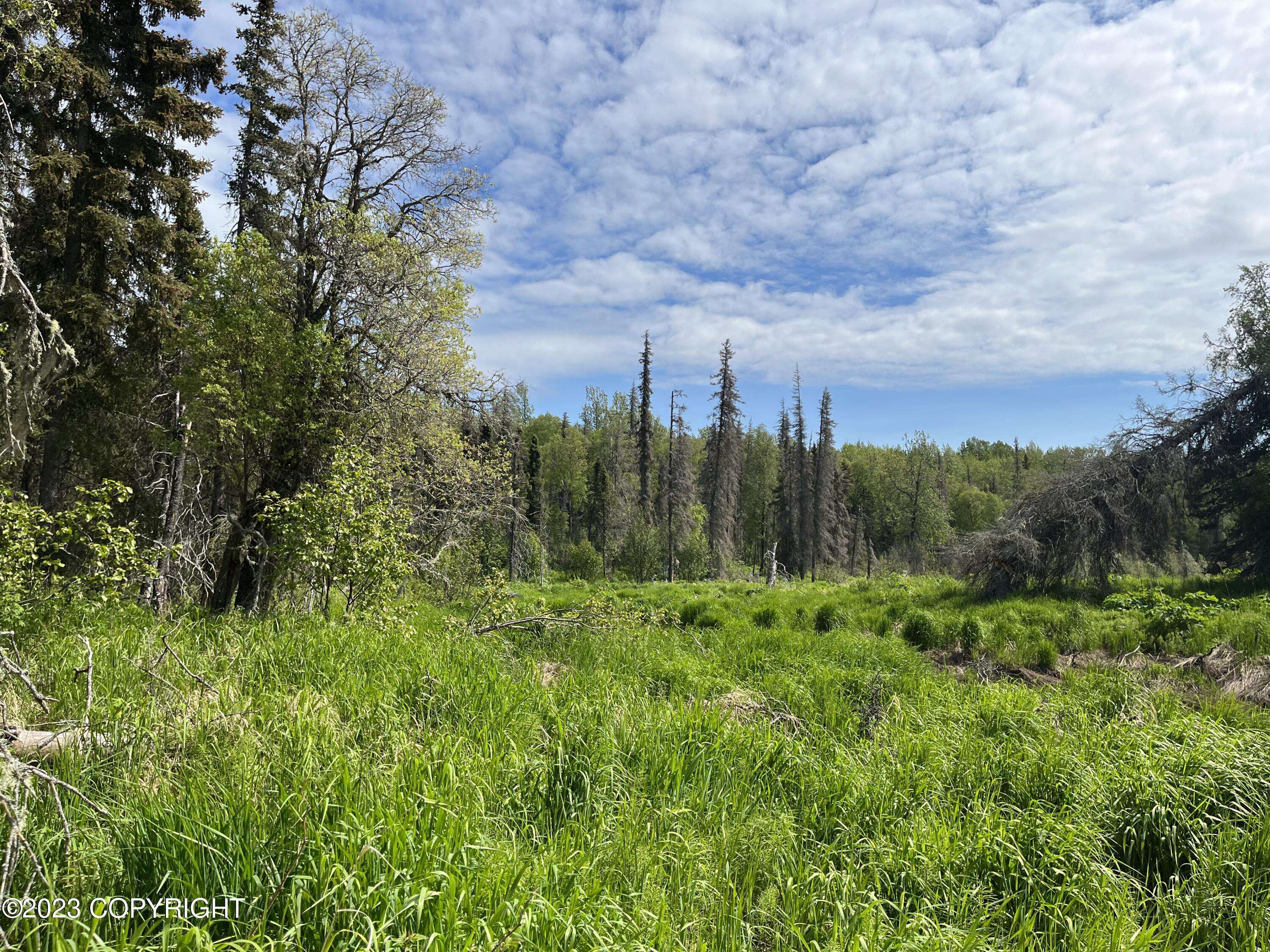 Nikiski/north Kenai, AK 99635,54701 N Woods ST