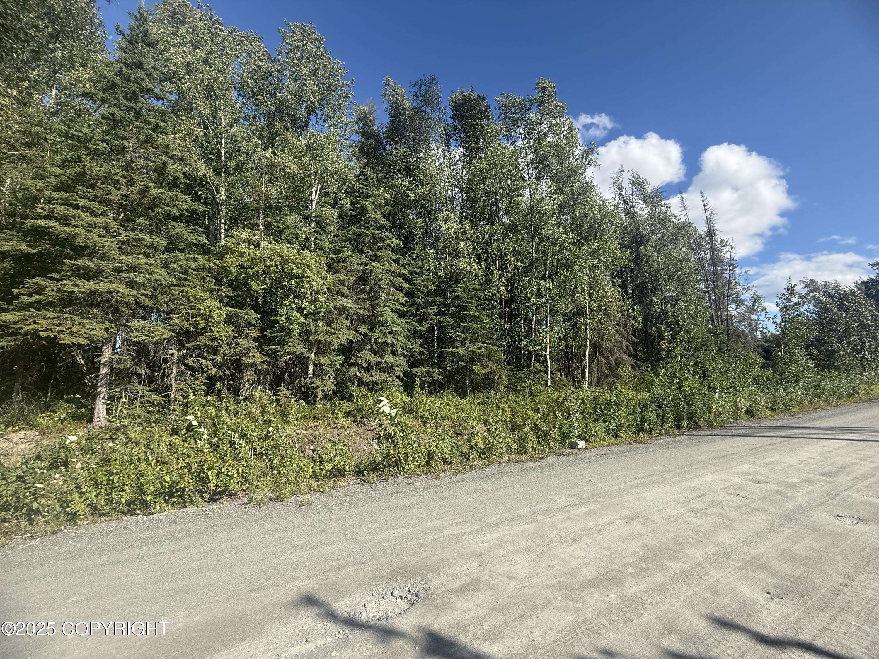 Soldotna, AK 99669,35868 Everwell PL