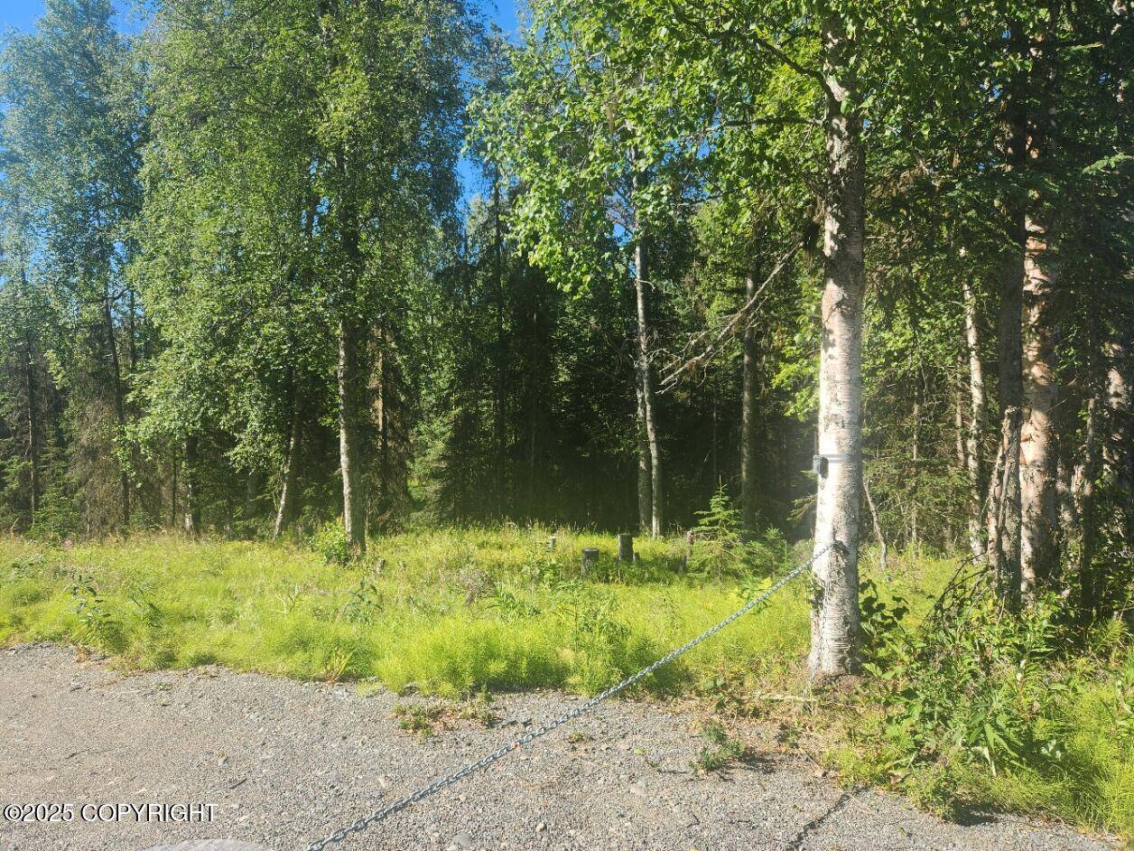 Soldotna, AK 99669,48865 Tote RD