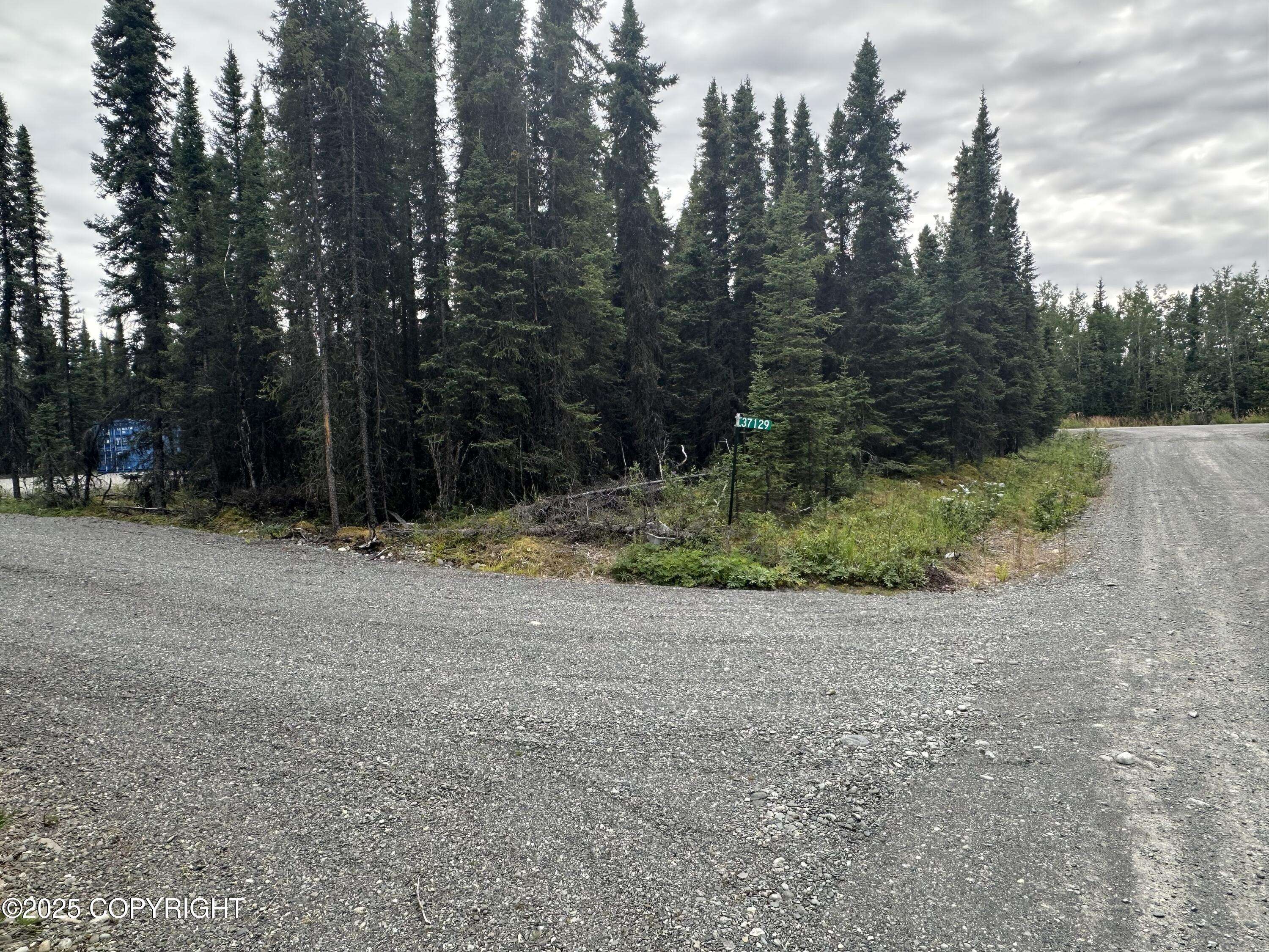 Soldotna, AK 99669,37129 Nerka CT