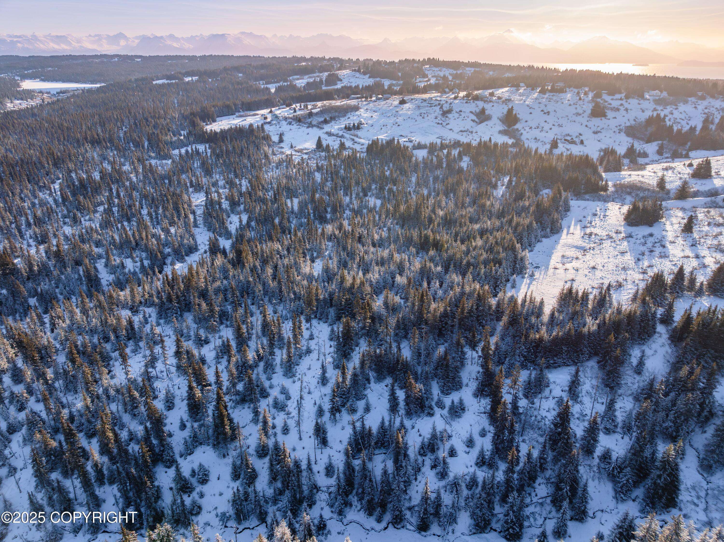 Homer, AK 99603,NKA W Shelton AVE