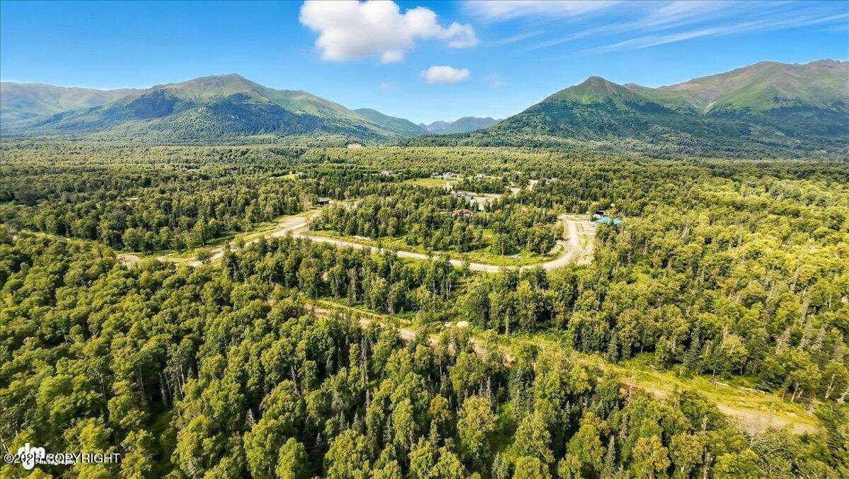 Palmer, AK 99645,9541 E Hatcher Landing AVE