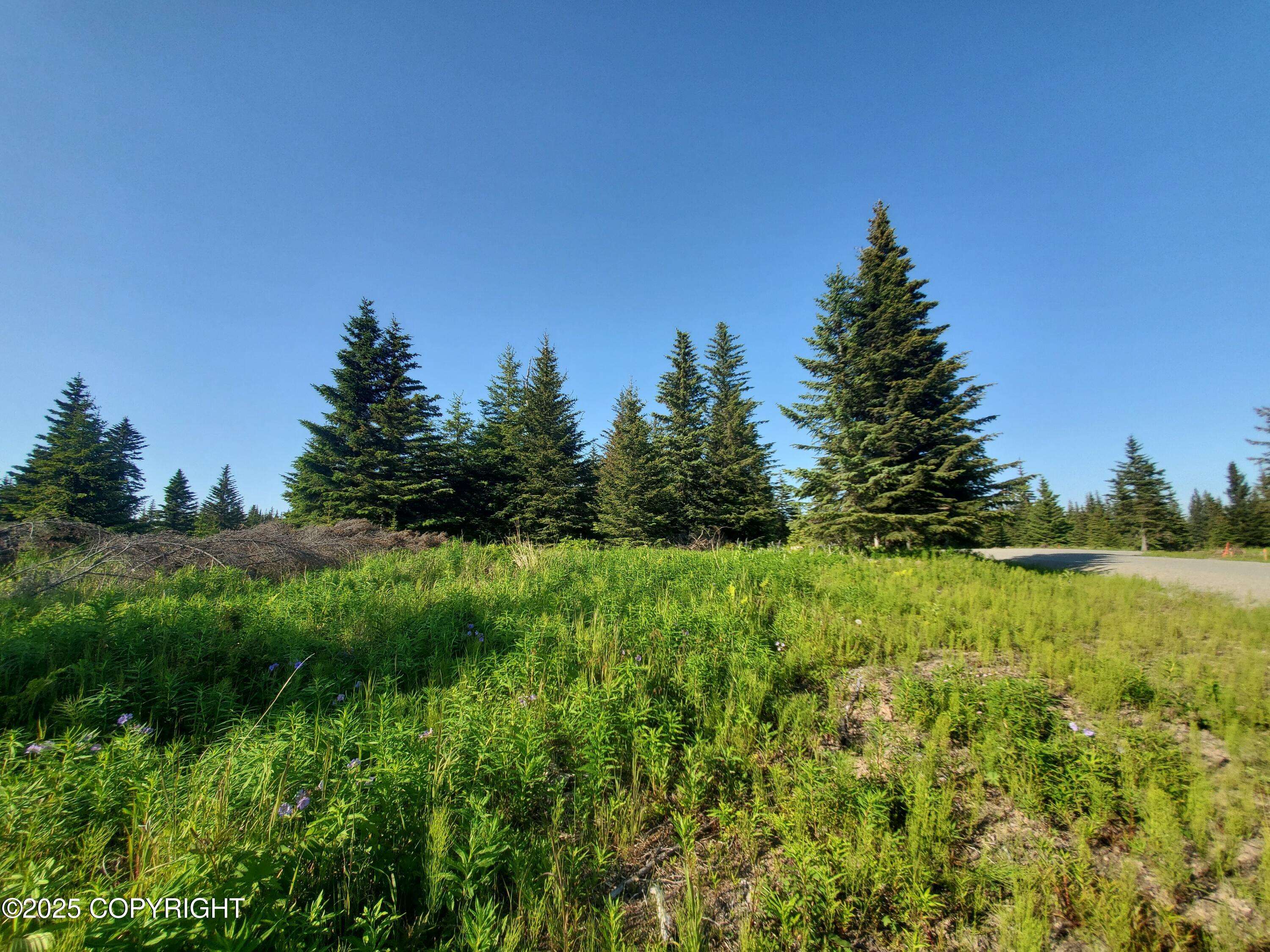 Ninilchik, AK 99639,17455 Chefornak ST
