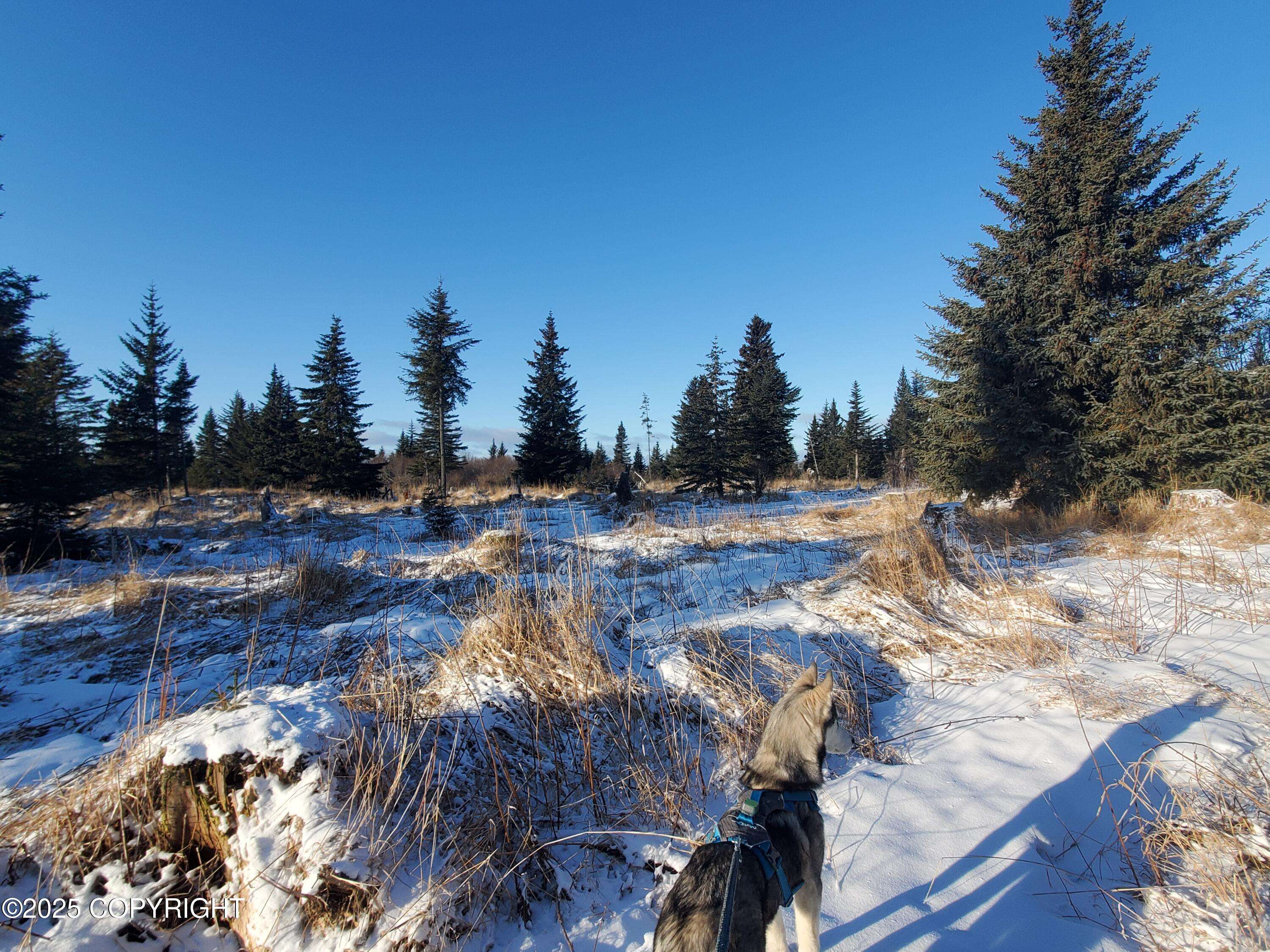 Ninilchik, AK 99639,17509 Chefornak ST