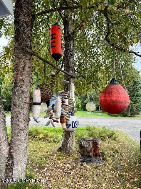 Homer, AK 99603,2158 Aspen LN