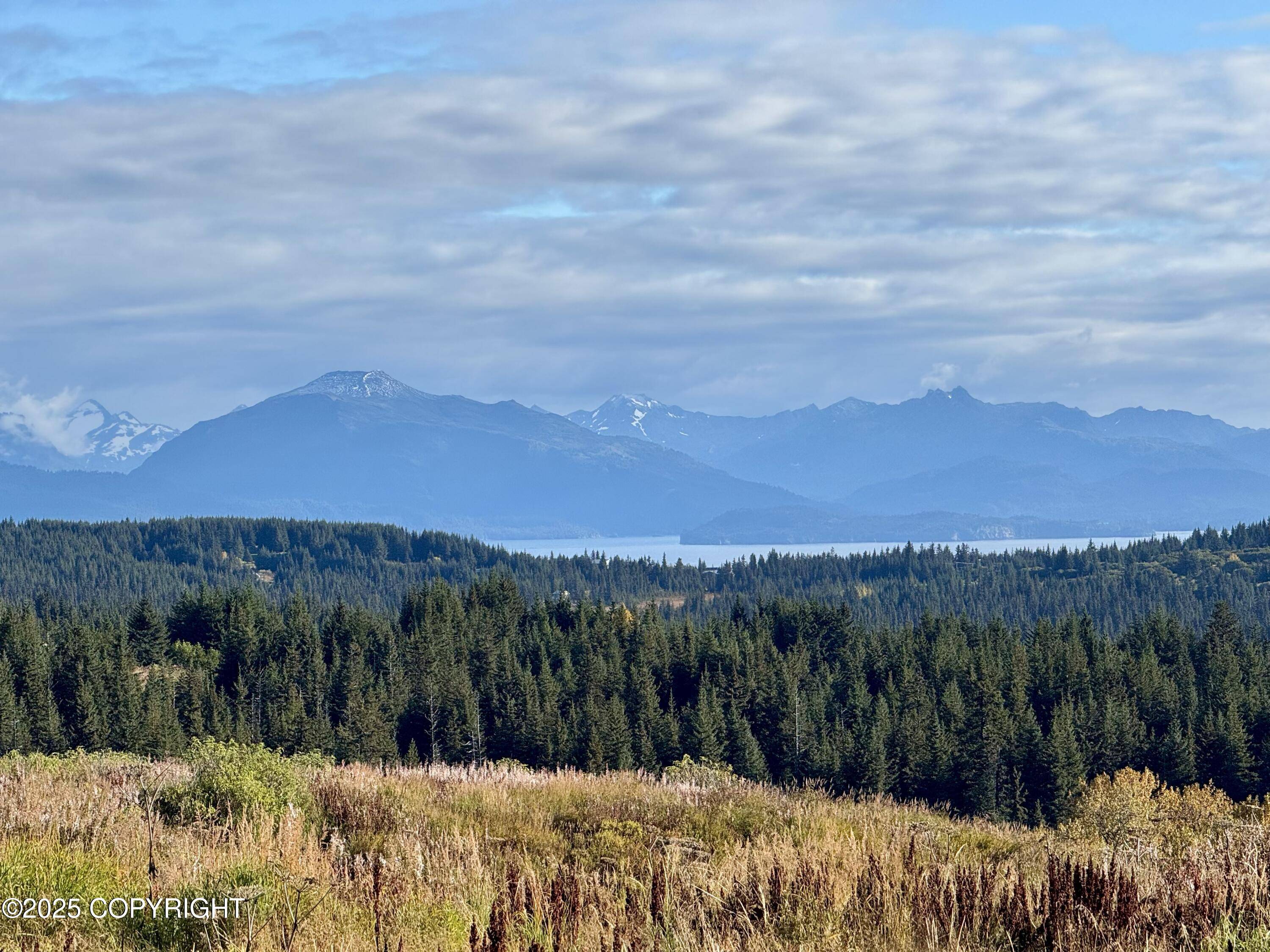 Homer, AK 99603,66711 Fry CT