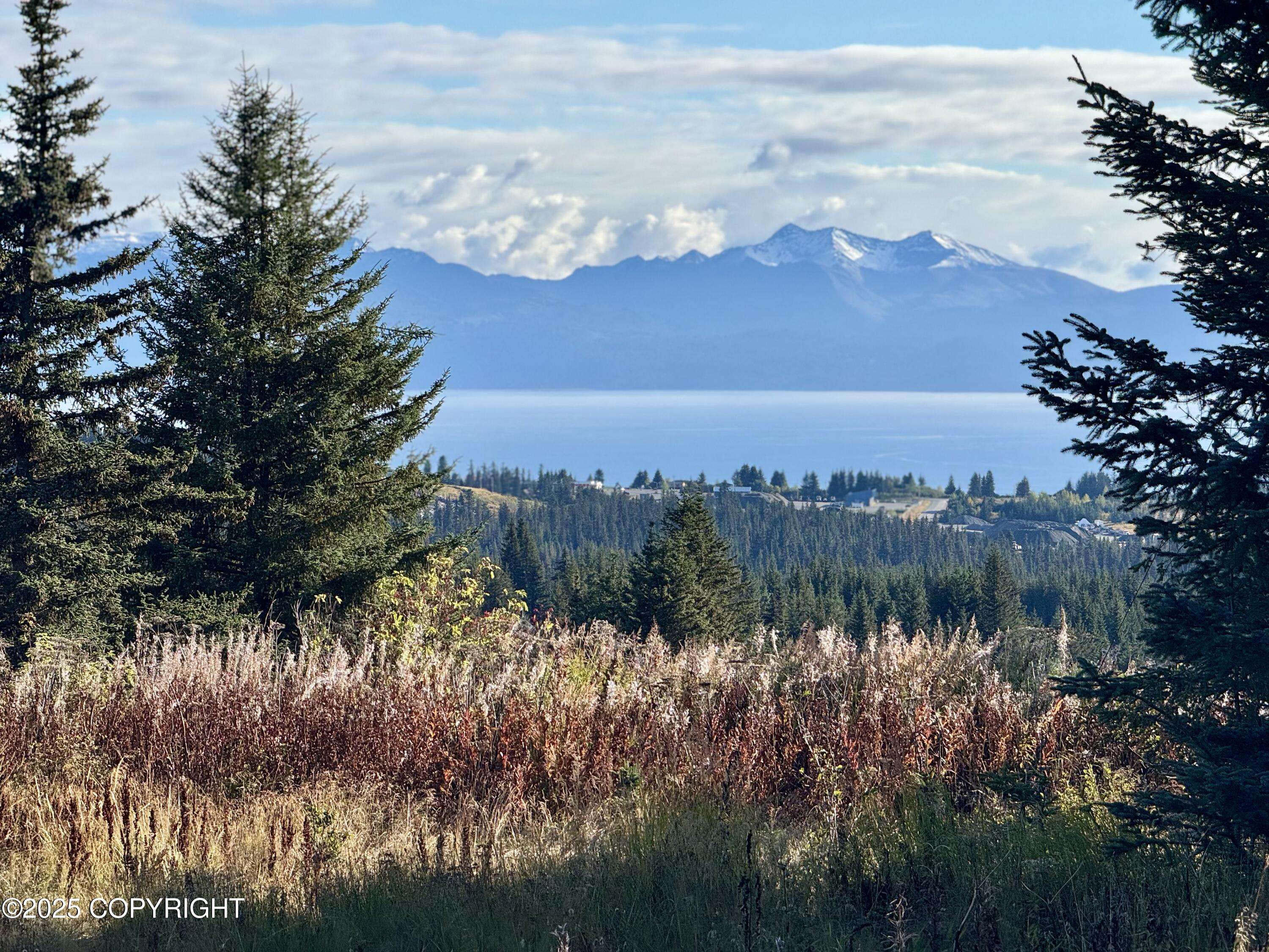 Homer, AK 99603,66711 Fry CT