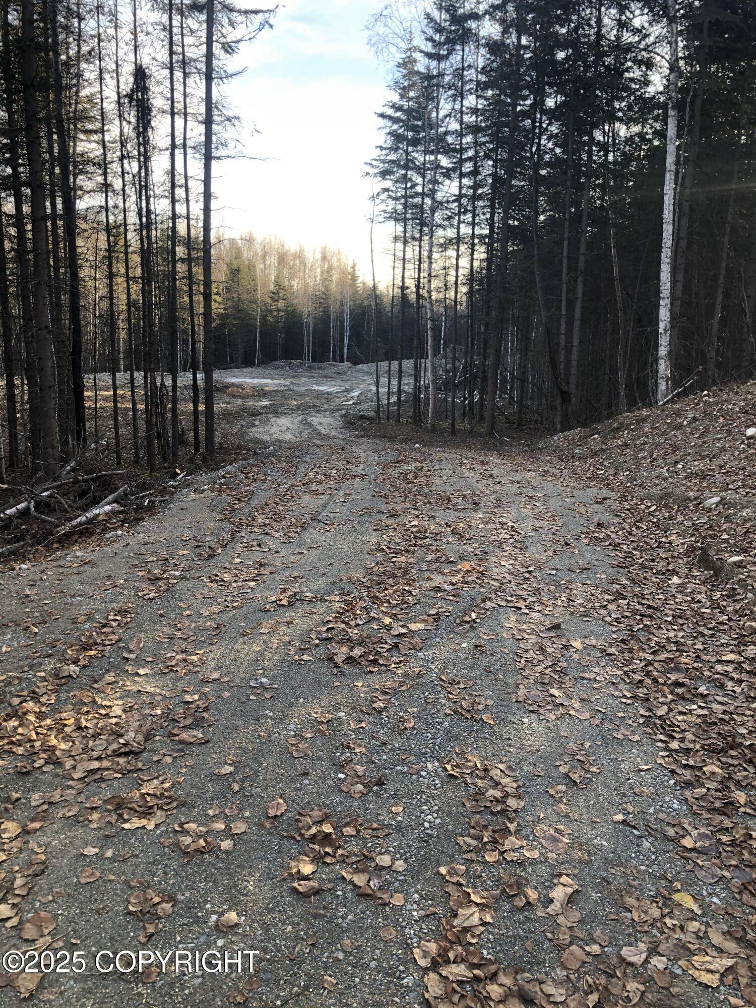 Houston, AK 99694,12922 W Delroy RD