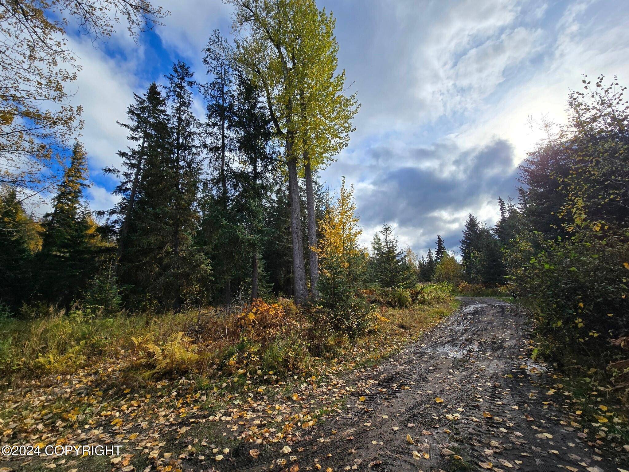 Hope, AK 99605,64830 Cox CIR