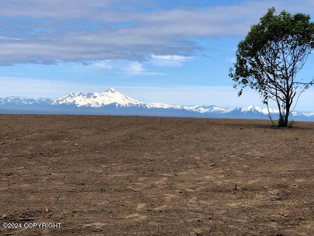 Anchor Point, AK 99556,32675 Shorebird LN