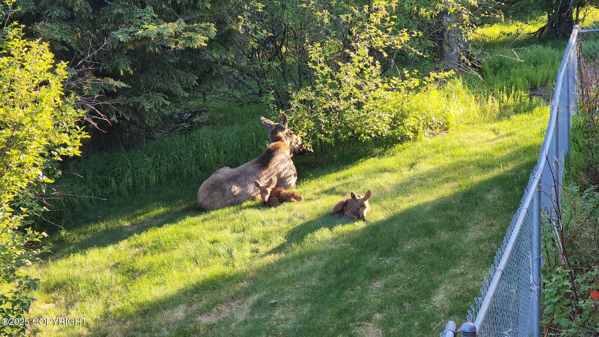 Anchorage, AK 99516,6801 Teresa CIR