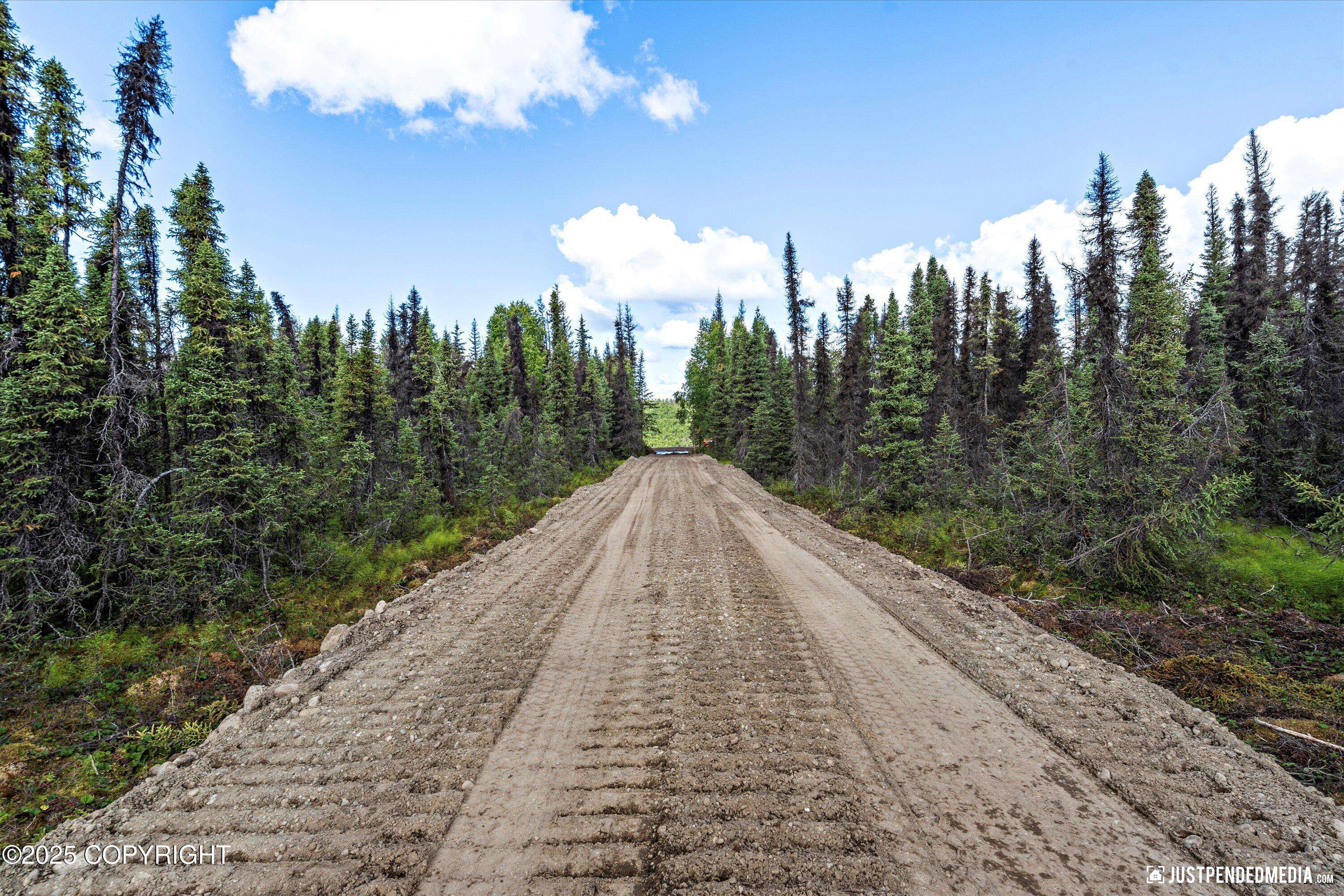 Willow, AK 99688,12431 W Snowberry RD