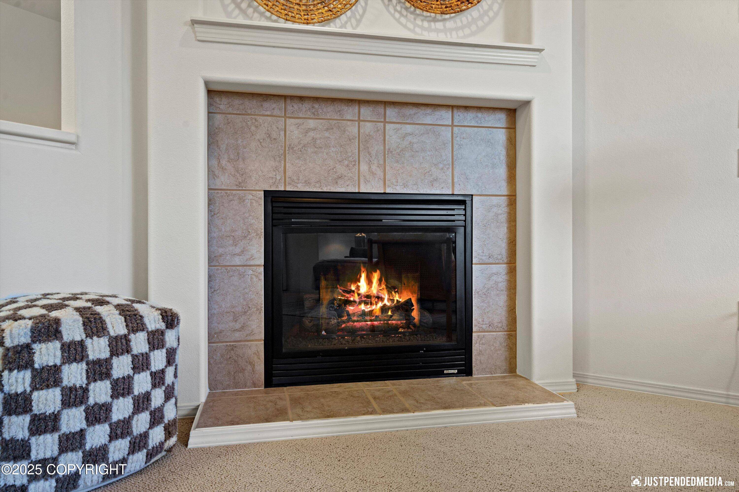 Anchorage, AK 99515,2909 Seclusion Cove DR #63