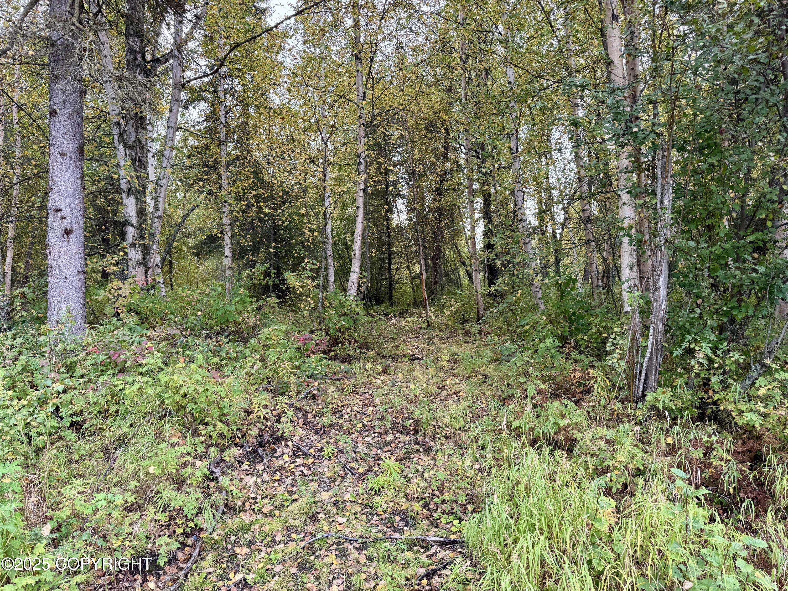 Palmer, AK 99645,8593 S River DR