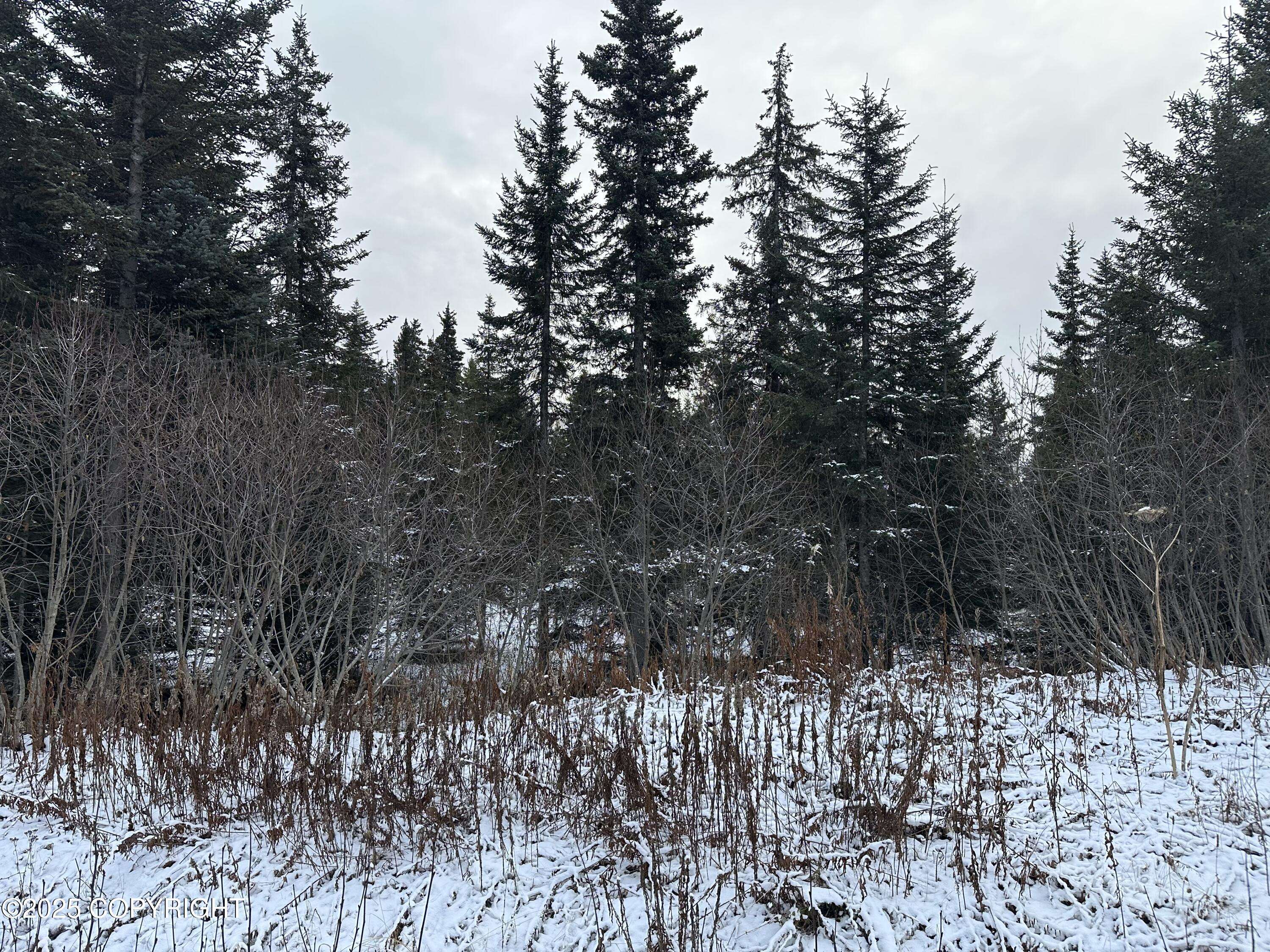 Anchor Point, AK 99556,000 Old Sterling HWY