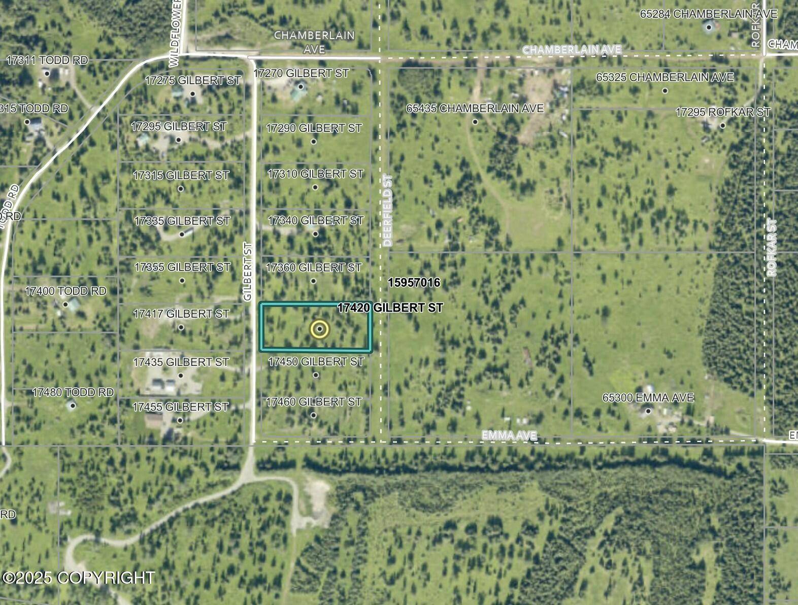 Ninilchik, AK 99639,17420 Gilbert ST