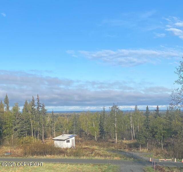 Anchor Point, AK 99556,32603 Rickard ST