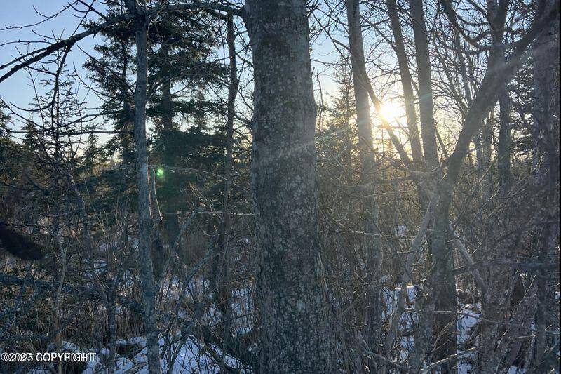 Anchor Point, AK 99556,34725 N Fork RD